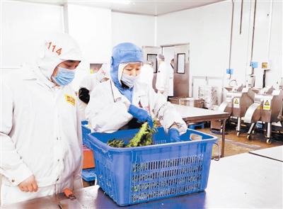 天津確保校園食品安全 監(jiān)管先行，教育軟件賦能